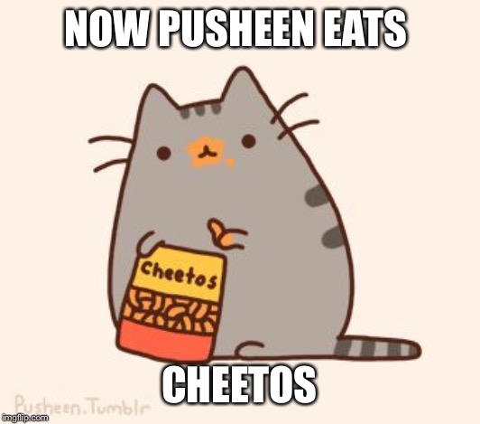 pusheen stole the cheetos | NOW PUSHEEN EATS; CHEETOS | image tagged in pusheen stole the cheetos | made w/ Imgflip meme maker