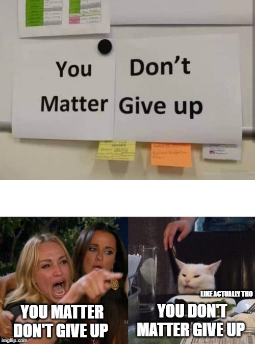 LIKE ACTUALLY THO; YOU MATTER DON'T GIVE UP; YOU DON'T MATTER GIVE UP | image tagged in memes,woman yelling at cat | made w/ Imgflip meme maker