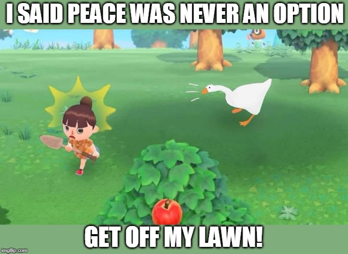 I SAID PEACE WAS NEVER AN OPTION; GET OFF MY LAWN! | image tagged in untitled goose peace was never an option,animal crossing | made w/ Imgflip meme maker