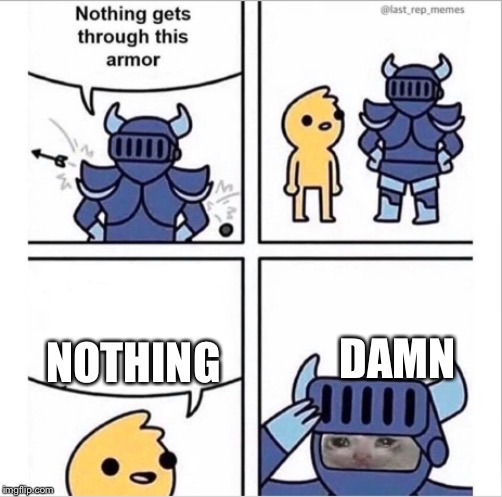 knight armor | NOTHING; DAMN | image tagged in knight armor | made w/ Imgflip meme maker
