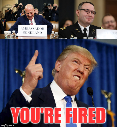 You're Fired! | YOU'RE FIRED | image tagged in memes,donald trump you're fired,batman slapping robin,the most interesting man in the world,donald trump,bye bye | made w/ Imgflip meme maker