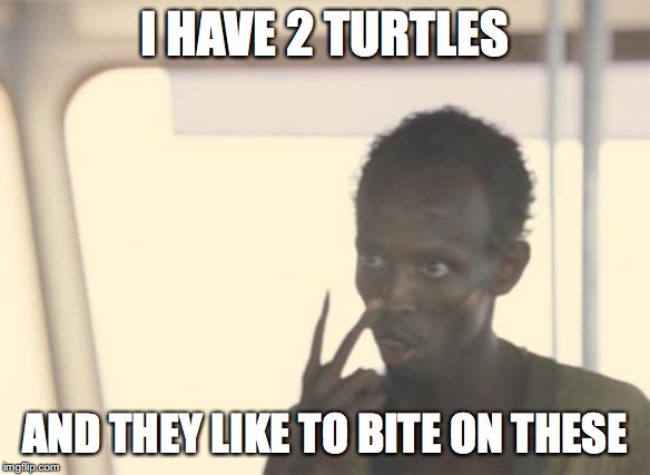 I'm The Captain Now Meme | I HAVE 2 TURTLES; AND THEY LIKE TO BITE ON THESE | image tagged in memes,i'm the captain now | made w/ Imgflip meme maker