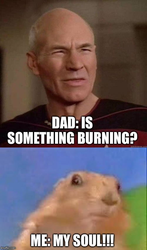 DAD: IS SOMETHING BURNING? ME: MY SOUL!!! | image tagged in dafuq picard,dramatic chipmunk,burning,soul,funny,memes | made w/ Imgflip meme maker