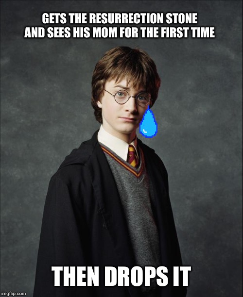 Harry Potter | GETS THE RESURRECTION STONE AND SEES HIS MOM FOR THE FIRST TIME; THEN DROPS IT | image tagged in harry potter | made w/ Imgflip meme maker