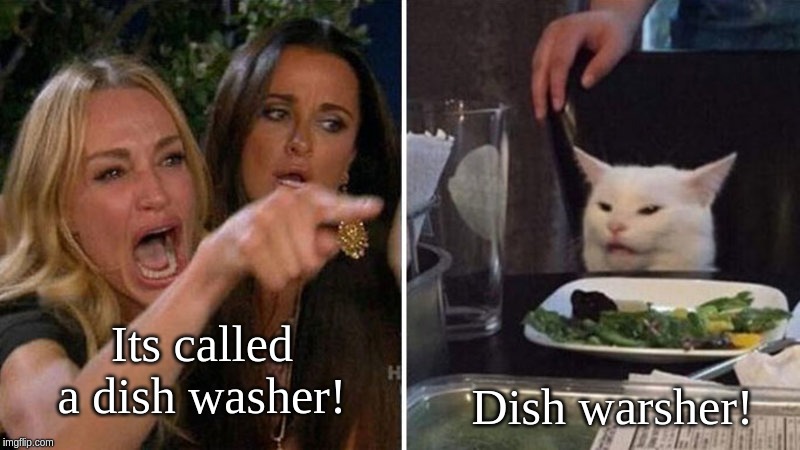 Woman yelling at cat | Its called a dish washer! Dish warsher! | image tagged in woman yelling at cat | made w/ Imgflip meme maker