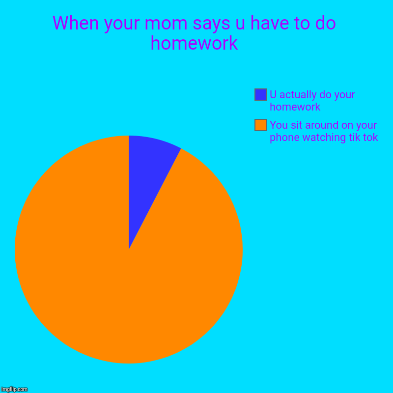 When your mom says u have to do homework | You sit around on your phone watching tik tok, U actually do your homework | image tagged in charts,pie charts | made w/ Imgflip chart maker
