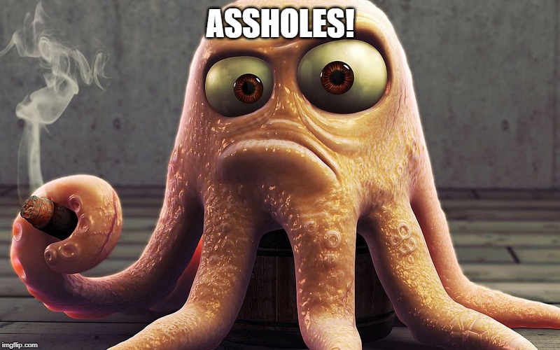 octopus smokes a cigar | ASSHOLES! | image tagged in octopus smokes a cigar | made w/ Imgflip meme maker