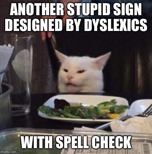 Annoyed White Cat | ANOTHER STUPID SIGN DESIGNED BY DYSLEXICS WITH SPELL CHECK | image tagged in annoyed white cat | made w/ Imgflip meme maker