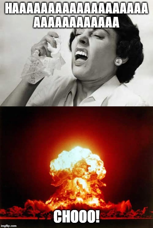 HAAAAAAAAAAAAAAAAAAA
AAAAAAAAAAAA; CHOOO! | image tagged in memes,nuclear explosion,sneezing | made w/ Imgflip meme maker