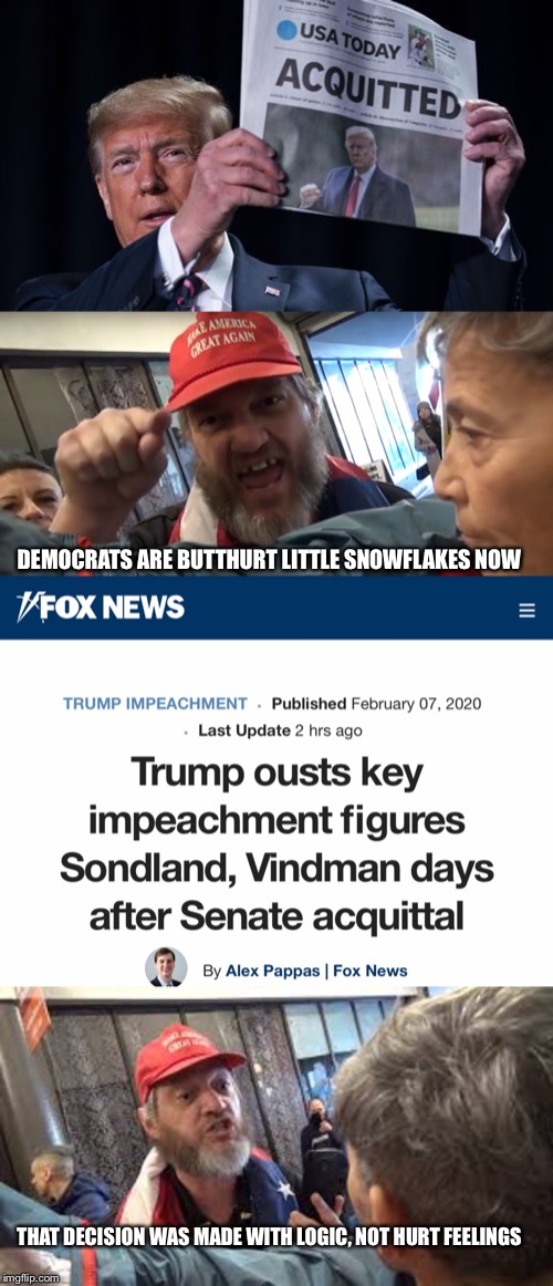 Proof that “Snowflake” is definitely not a label for just Democrats. | DEMOCRATS ARE BUTTHURT LITTLE SNOWFLAKES NOW; THAT DECISION WAS MADE WITH LOGIC, NOT HURT FEELINGS | image tagged in angry trumper,spazzed trumper,president snowflake,orange snowflake | made w/ Imgflip meme maker