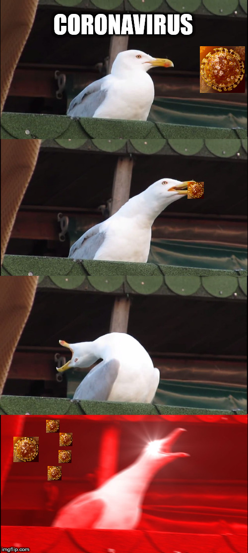 Inhaling Seagull | CORONAVIRUS | image tagged in memes,inhaling seagull | made w/ Imgflip meme maker