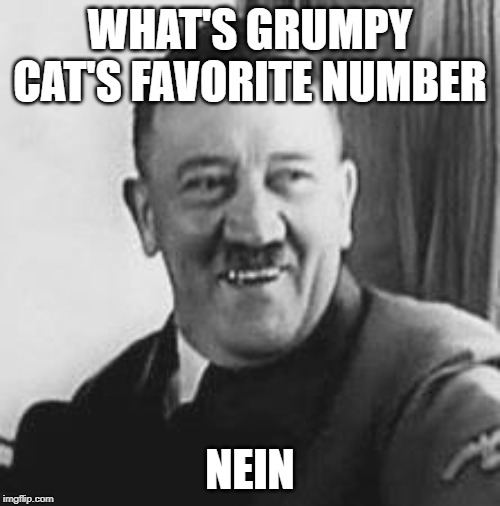 Bad Joke Hitler | WHAT'S GRUMPY CAT'S FAVORITE NUMBER; NEIN | image tagged in bad joke hitler | made w/ Imgflip meme maker
