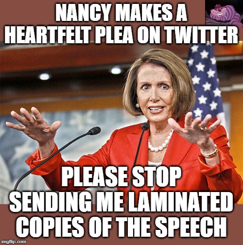 When you screw up big time. | NANCY MAKES A HEARTFELT PLEA ON TWITTER; PLEASE STOP SENDING ME LAMINATED COPIES OF THE SPEECH | image tagged in nancy pelosi is crazy | made w/ Imgflip meme maker