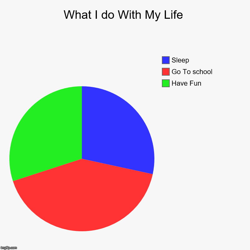 What I do With My Life | Have Fun, Go To school, Sleep | image tagged in charts,pie charts | made w/ Imgflip chart maker