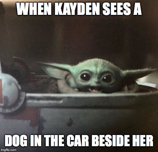 Baby Yoda Happy | WHEN KAYDEN SEES A; DOG IN THE CAR BESIDE HER | image tagged in baby yoda happy | made w/ Imgflip meme maker