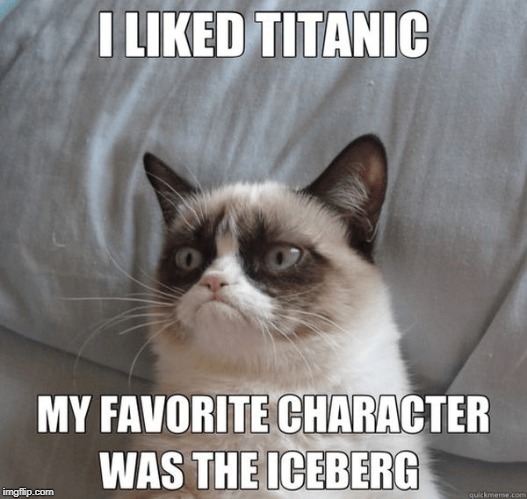 iceberg | image tagged in grumpy cat,titanic,cat humor | made w/ Imgflip meme maker