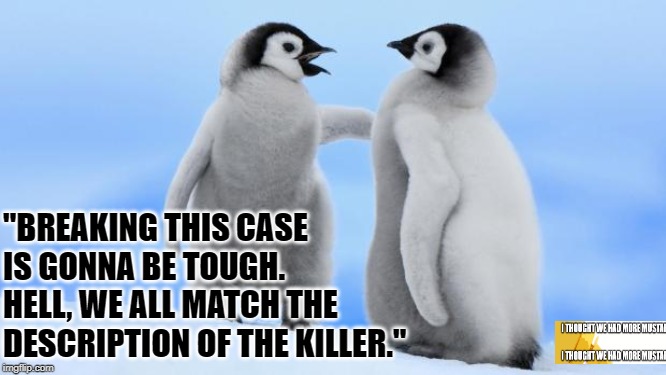 Penguin Homicide Case | "BREAKING THIS CASE IS GONNA BE TOUGH.  HELL, WE ALL MATCH THE DESCRIPTION OF THE KILLER." | image tagged in penguin love,murder,penguin | made w/ Imgflip meme maker