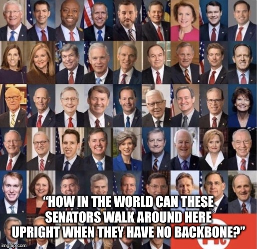 Cowardly Republican senators | “HOW IN THE WORLD CAN THESE SENATORS WALK AROUND HERE UPRIGHT WHEN THEY HAVE NO BACKBONE?” | image tagged in spin less,republican senators,trump impeachment,crooked,cowards | made w/ Imgflip meme maker