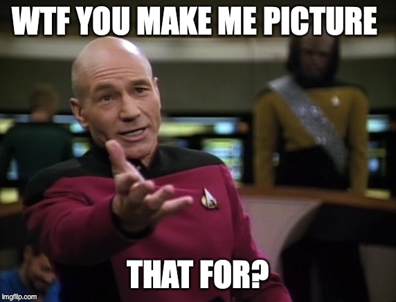 Pickard wtf | WTF YOU MAKE ME PICTURE THAT FOR? | image tagged in pickard wtf | made w/ Imgflip meme maker