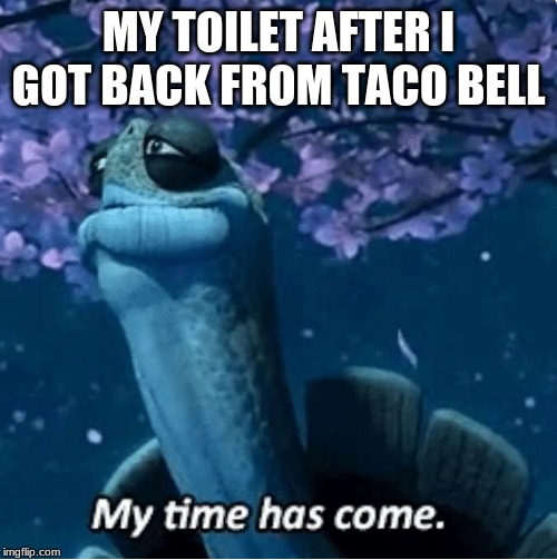 Poor Toilet | MY TOILET AFTER I GOT BACK FROM TACO BELL | image tagged in my time has come | made w/ Imgflip meme maker
