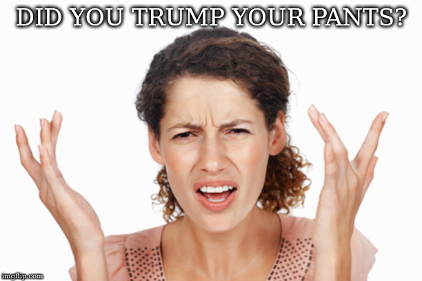 Indignant | DID YOU TRUMP YOUR PANTS? | image tagged in indignant | made w/ Imgflip meme maker