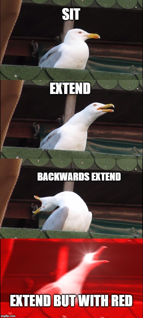 Inhaling Seagull | SIT; EXTEND; BACKWARDS EXTEND; EXTEND BUT WITH RED | image tagged in memes,inhaling seagull | made w/ Imgflip meme maker