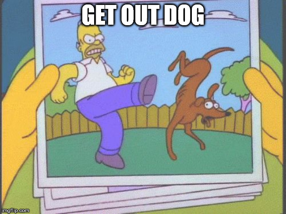 Homer kicks dog | GET OUT DOG | image tagged in homer kicks dog | made w/ Imgflip meme maker