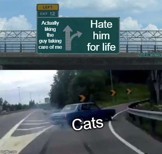Left Exit 12 Off Ramp Meme | Actually liking the guy taking care of me; Hate him for life; Cats | image tagged in memes,left exit 12 off ramp | made w/ Imgflip meme maker