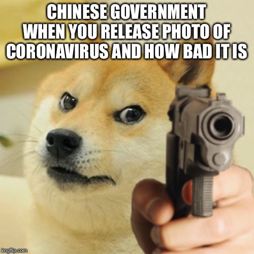 Doge holding a gun | CHINESE GOVERNMENT WHEN YOU RELEASE PHOTO OF CORONAVIRUS AND HOW BAD IT IS | image tagged in doge holding a gun | made w/ Imgflip meme maker