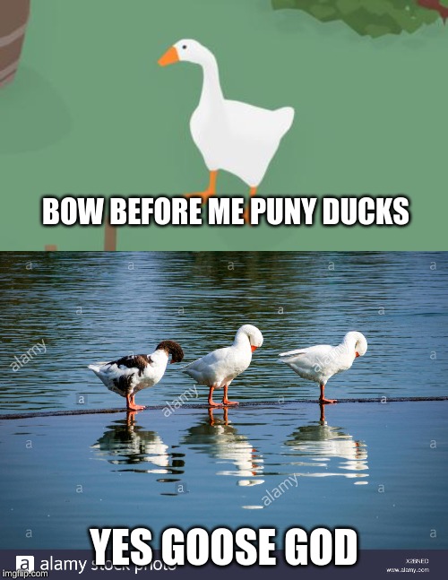 BOW BEFORE ME PUNY DUCKS; YES GOOSE GOD | image tagged in goose god | made w/ Imgflip meme maker