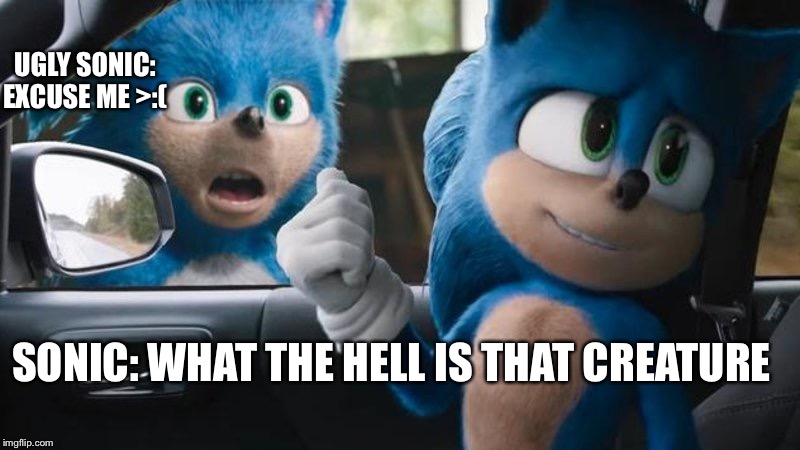 Ugly Sonic is Ugly | UGLY SONIC: EXCUSE ME >:(; SONIC: WHAT THE HELL IS THAT CREATURE | image tagged in sonic movie old vs new | made w/ Imgflip meme maker