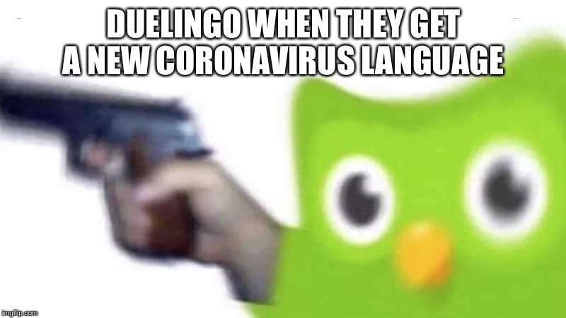 duolingo gun | DUELINGO WHEN THEY GET A NEW CORONAVIRUS LANGUAGE | image tagged in duolingo gun | made w/ Imgflip meme maker