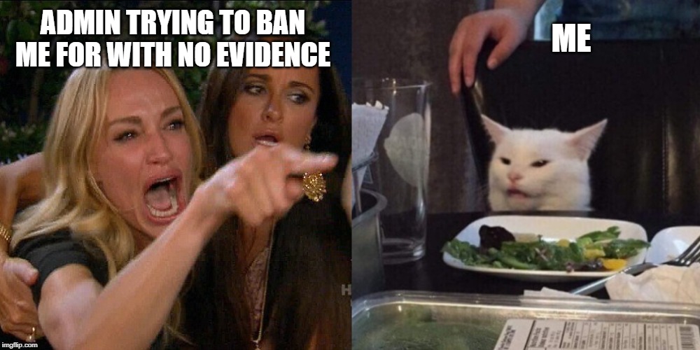 Woman yelling at cat | ADMIN TRYING TO BAN ME FOR WITH NO EVIDENCE; ME | image tagged in woman yelling at cat | made w/ Imgflip meme maker