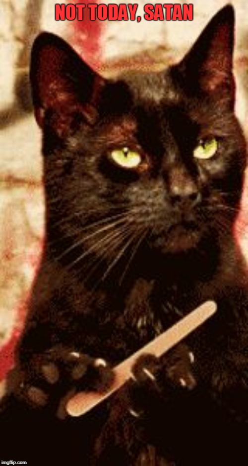 Cat Filing Nails | NOT TODAY, SATAN | image tagged in cat filing nails | made w/ Imgflip meme maker