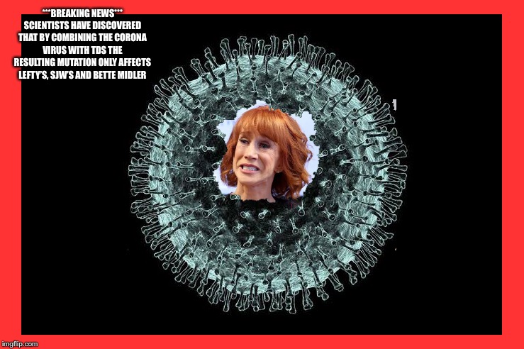 ***BREAKING NEWS***
SCIENTISTS HAVE DISCOVERED THAT BY COMBINING THE CORONA VIRUS WITH TDS THE RESULTING MUTATION ONLY AFFECTS LEFTY’S, SJW’S AND BETTE MIDLER | image tagged in politics | made w/ Imgflip meme maker