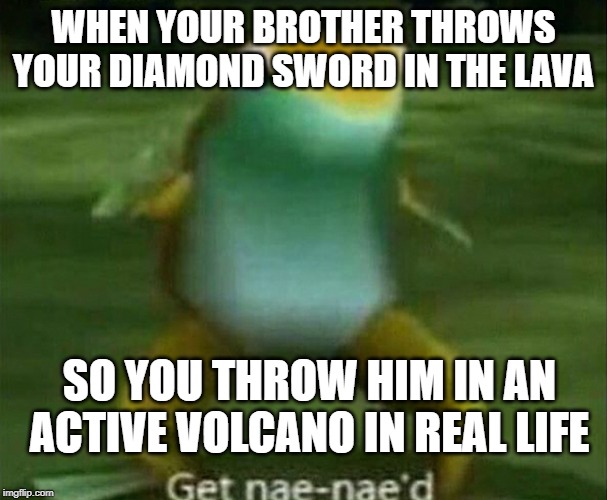Get nae-nae'd |  WHEN YOUR BROTHER THROWS YOUR DIAMOND SWORD IN THE LAVA; SO YOU THROW HIM IN AN ACTIVE VOLCANO IN REAL LIFE | image tagged in get nae-nae'd | made w/ Imgflip meme maker