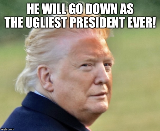 Donald Trump, the ugliest president ever. | HE WILL GO DOWN AS THE UGLIEST PRESIDENT EVER! | image tagged in donald trump,the ugliest president ever,cover up,impeached,agent orange,fake tan | made w/ Imgflip meme maker