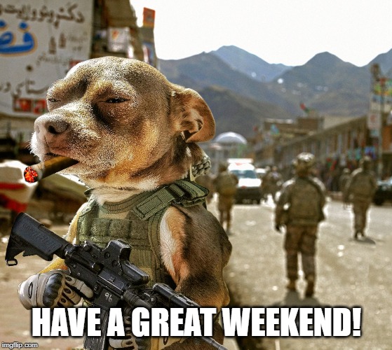 chihuahua military | HAVE A GREAT WEEKEND! | image tagged in chihuahua military | made w/ Imgflip meme maker