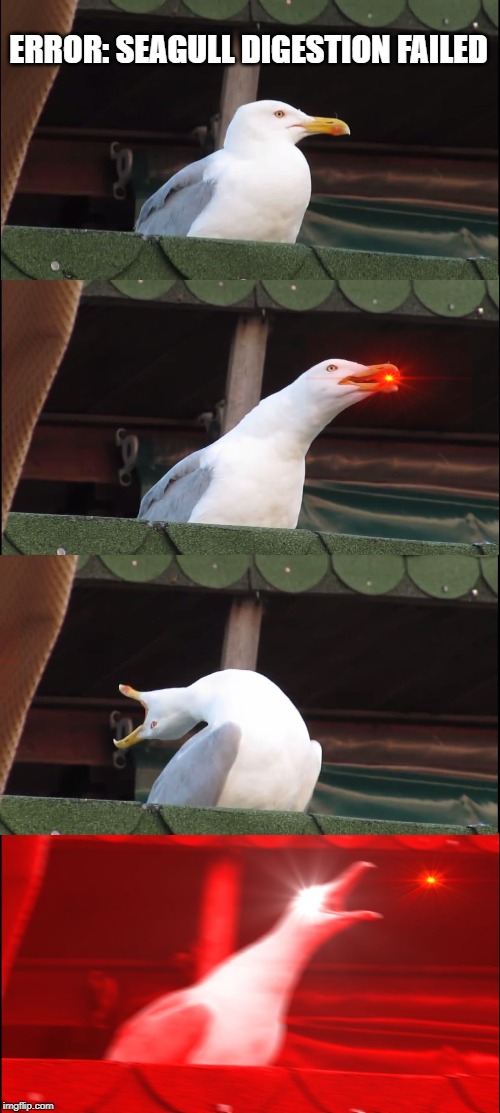 Inhaling Seagull | ERROR: SEAGULL DIGESTION FAILED | image tagged in memes,inhaling seagull | made w/ Imgflip meme maker