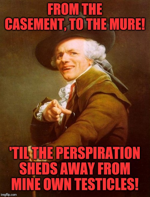 Joseph Ducreux Meme | FROM THE CASEMENT, TO THE MURE! 'TIL THE PERSPIRATION SHEDS AWAY FROM MINE OWN TESTICLES! | image tagged in memes,joseph ducreux | made w/ Imgflip meme maker