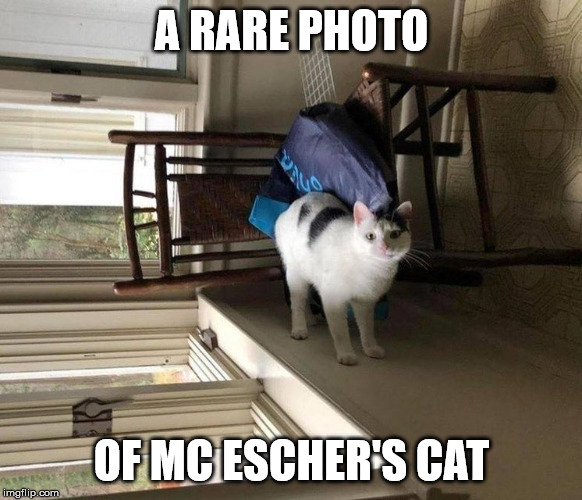 MC Escher's cat | A RARE PHOTO; OF MC ESCHER'S CAT | image tagged in cats,art,surreal,wow,oh wow are you actually reading these tags | made w/ Imgflip meme maker