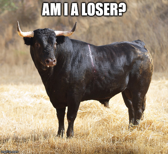 Bull | AM I A LOSER? | image tagged in bull | made w/ Imgflip meme maker