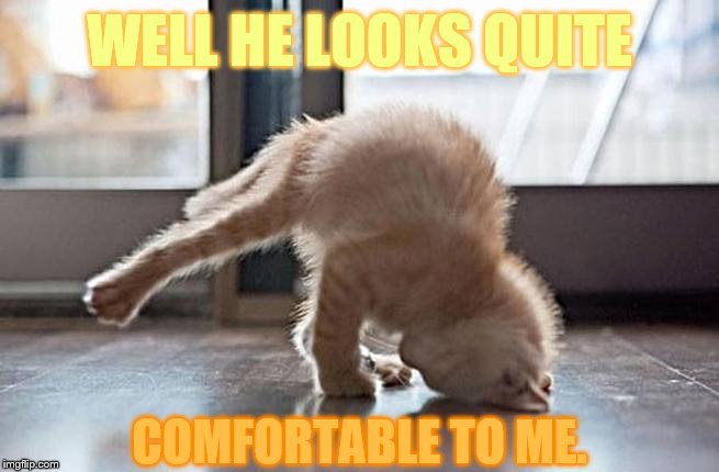 WELL HE LOOKS QUITE COMFORTABLE TO ME. | made w/ Imgflip meme maker