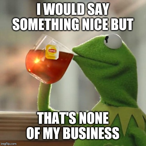 But That's None Of My Business Meme | I WOULD SAY SOMETHING NICE BUT THAT'S NONE OF MY BUSINESS | image tagged in memes,but thats none of my business,kermit the frog | made w/ Imgflip meme maker