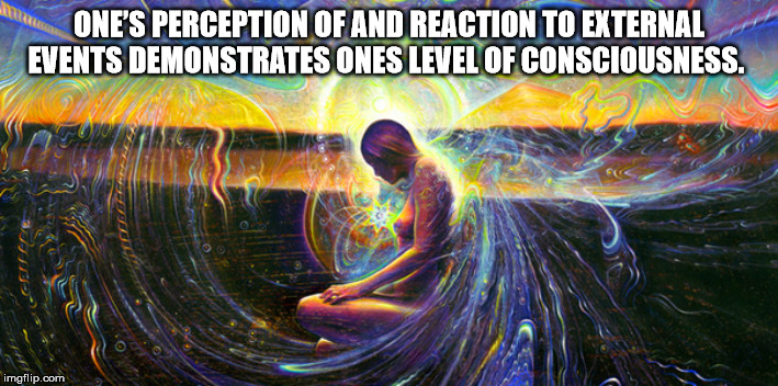 truths of consciousness | ONE’S PERCEPTION OF AND REACTION TO EXTERNAL EVENTS DEMONSTRATES ONES LEVEL OF CONSCIOUSNESS. | image tagged in consciousness,perception,reaction | made w/ Imgflip meme maker