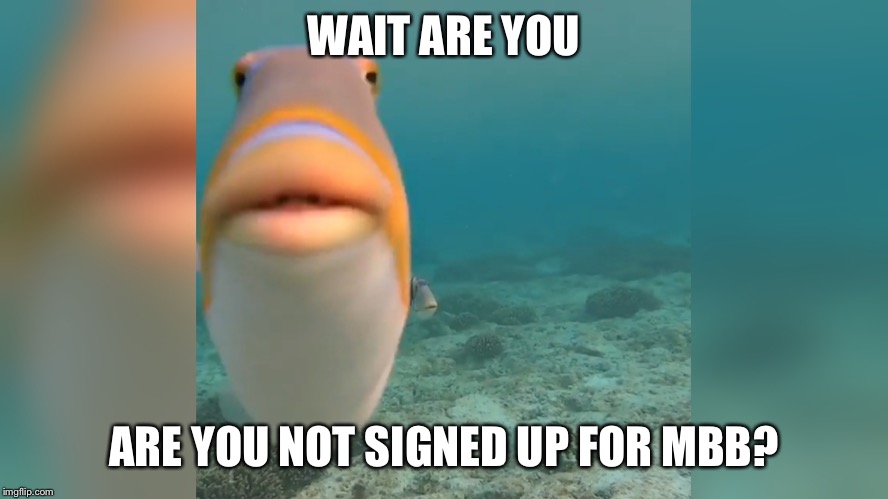 WAIT ARE YOU; ARE YOU NOT SIGNED UP FOR MBB? | image tagged in basketball,college | made w/ Imgflip meme maker