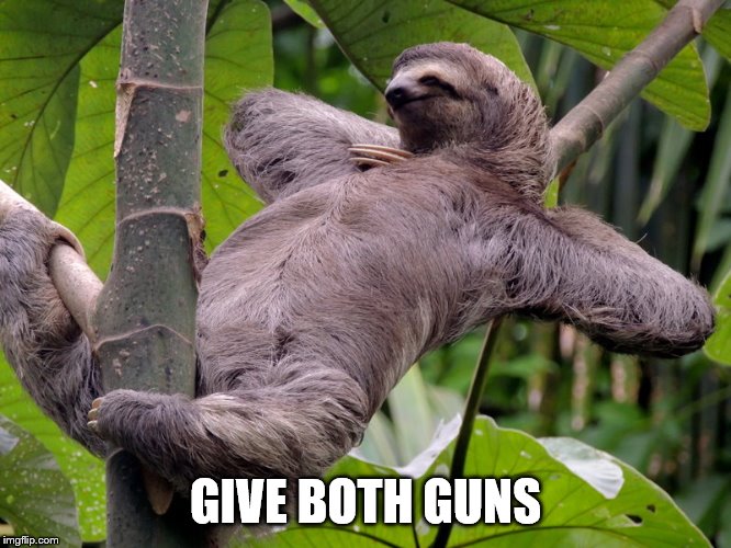 Lazy Sloth | GIVE BOTH GUNS | image tagged in lazy sloth | made w/ Imgflip meme maker