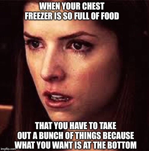 First World Problems - Anna | WHEN YOUR CHEST FREEZER IS SO FULL OF FOOD; THAT YOU HAVE TO TAKE OUT A BUNCH OF THINGS BECAUSE WHAT YOU WANT IS AT THE BOTTOM | image tagged in first world problems - anna | made w/ Imgflip meme maker
