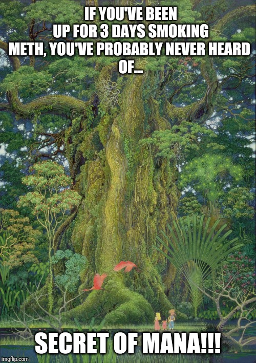 SNES Intervention... | IF YOU'VE BEEN UP FOR 3 DAYS SMOKING METH, YOU'VE PROBABLY NEVER HEARD 
OF... SECRET OF MANA!!! | image tagged in snes,secret of mana,meth,nintendo,super nintendo,rpg | made w/ Imgflip meme maker