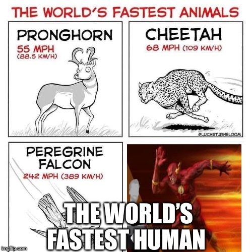 The world's fastest animals | THE WORLD’S FASTEST HUMAN | image tagged in the world's fastest animals | made w/ Imgflip meme maker